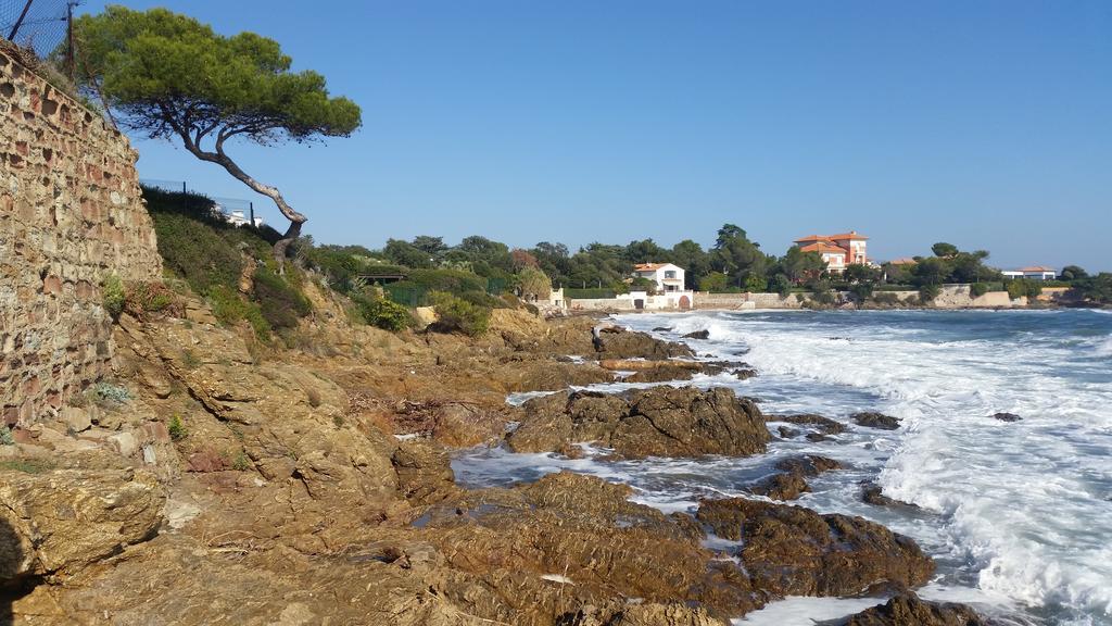 Un petit coin de paradis Taradeau Extérieur photo