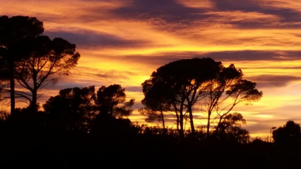 Un petit coin de paradis Taradeau Extérieur photo